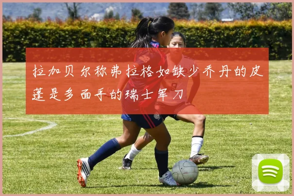 拉加贝尔称弗拉格如缺少乔丹的皮蓬是多面手的瑞士军刀