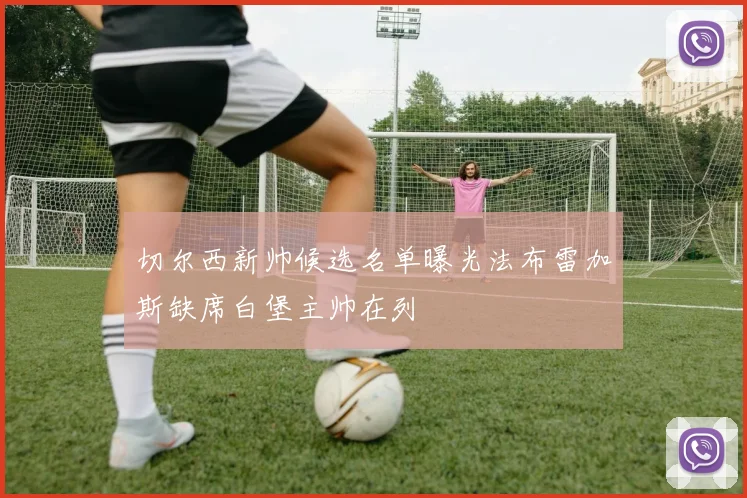 切尔西新帅候选名单曝光法布雷加斯缺席白堡主帅在列