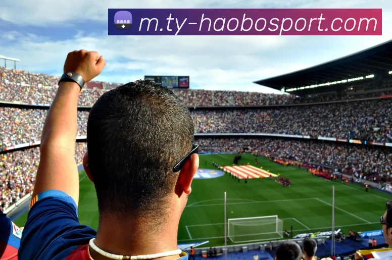 好博足球APP 高清赛事图